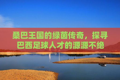 桑巴王国的绿茵传奇,探寻巴西足球人才的源源不绝