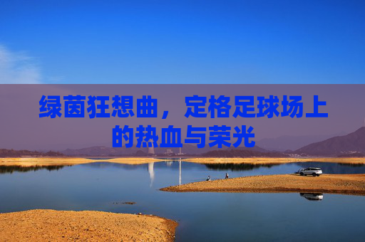 绿茵狂想曲,定格足球场上的热血与荣光