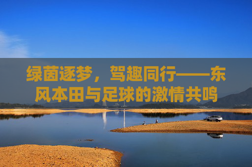 绿茵逐梦,驾趣同行——东风本田与足球的激情共鸣