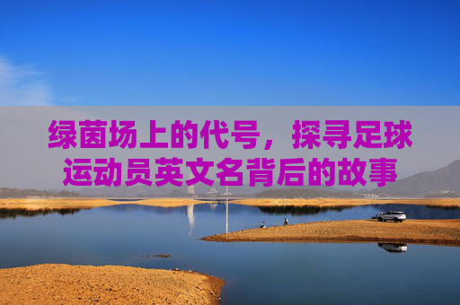 绿茵场上的代号,探寻足球运动员英文名背后的故事
