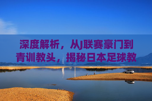深度解析,从J联赛豪门到青训教头,揭秘日本足球教练的真实薪资水平