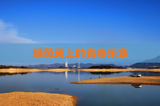 绿茵场上的青春乐章