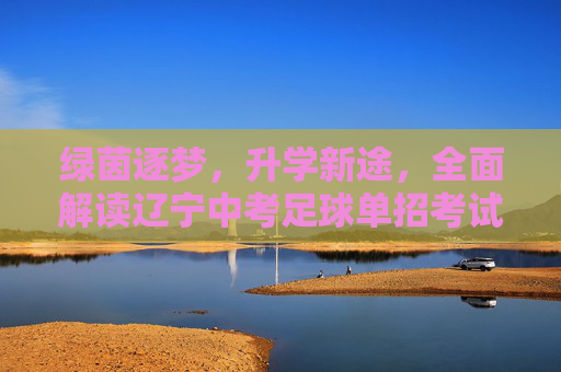 绿茵逐梦,升学新途,全面解读辽宁中考足球单招考试