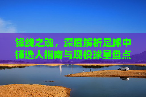 锋线之魂,深度解析足球中锋选人指南与现役球星盘点