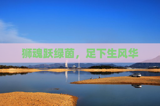 狮魂跃绿茵，足下生风华