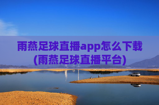 雨燕足球直播app怎么下载(雨燕足球直播平台)