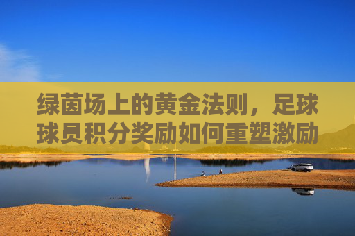 绿茵场上的黄金法则,足球球员积分奖励如何重塑激励机制