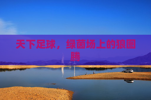 天下足球,绿茵场上的狼图腾