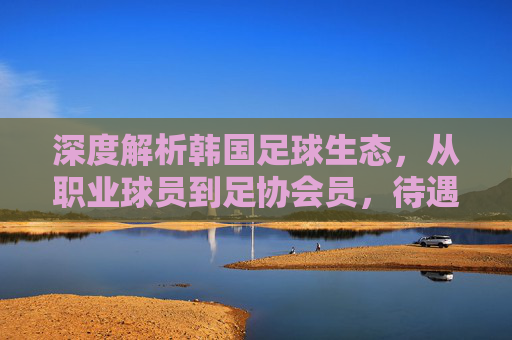 深度解析韩国足球生态,从职业球员到足协会员,待遇体系如何支撑发展?