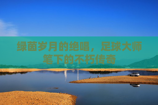 绿茵岁月的绝唱,足球大师笔下的不朽传奇