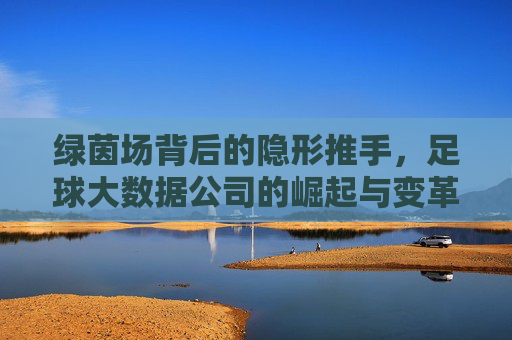 绿茵场背后的隐形推手,足球大数据公司的崛起与变革