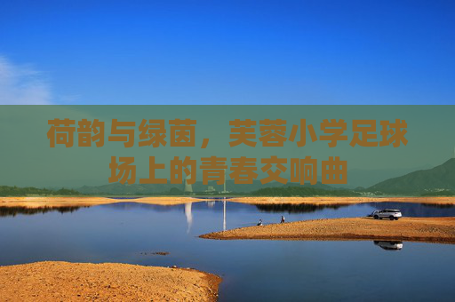 荷韵与绿茵,芙蓉小学足球场上的青春交响曲
