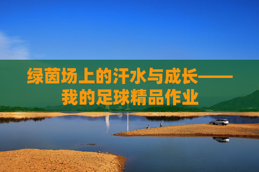 绿茵场上的汗水与成长——我的足球精品作业