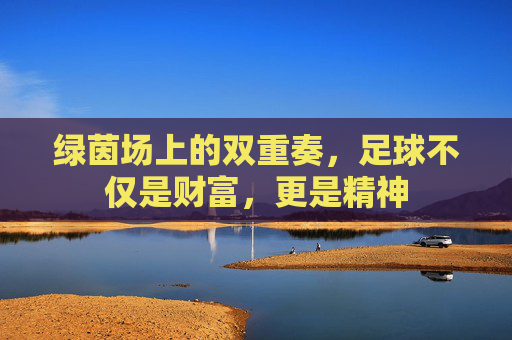 绿茵场上的双重奏,足球不仅是财富,更是精神