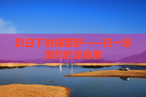烈日下的绿茵梦——记一场激烈的足球赛