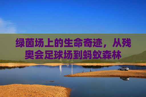 绿茵场上的生命奇迹,从残奥会足球场到蚂蚁森林