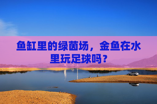鱼缸里的绿茵场,金鱼在水里玩足球吗?