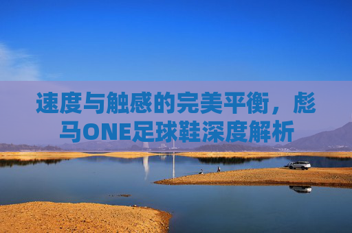 速度与触感的完美平衡,彪马ONE足球鞋深度解析