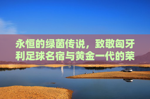 永恒的绿茵传说,致敬匈牙利足球名宿与黄金一代的荣光