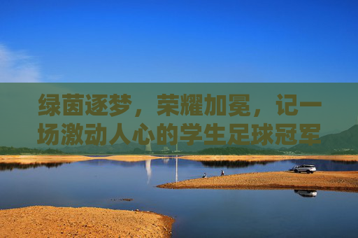 绿茵逐梦,荣耀加冕,记一场激动人心的学生足球冠军颁奖礼