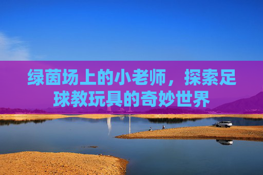 绿茵场上的小老师,探索足球教玩具的奇妙世界
