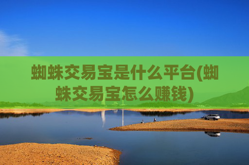 蜘蛛交易宝是什么平台(蜘蛛交易宝怎么赚钱)