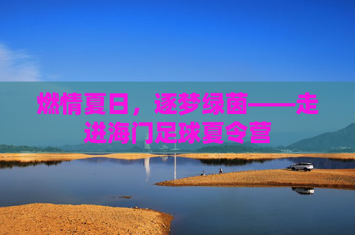 燃情夏日,逐梦绿茵——走进海门足球夏令营