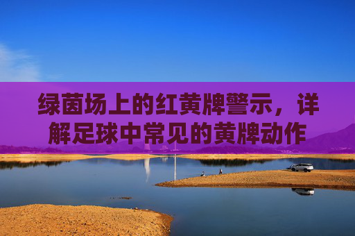 绿茵场上的红黄牌警示,详解足球中常见的黄牌动作