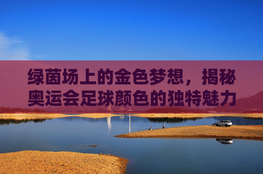 绿茵场上的金色梦想,揭秘奥运会足球颜色的独特魅力