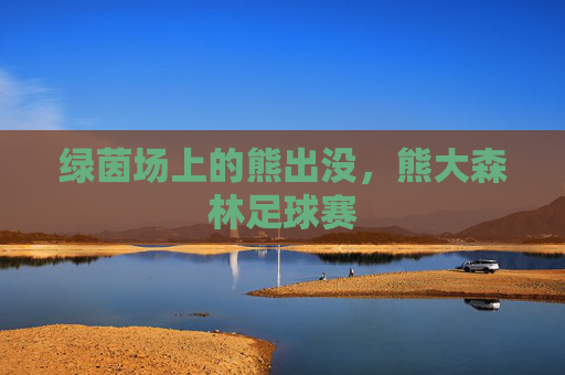 绿茵场上的熊出没,熊大森林足球赛