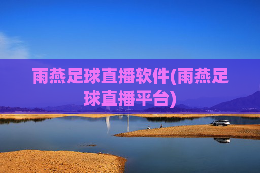 雨燕足球直播软件(雨燕足球直播平台)