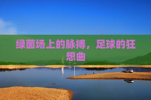 绿茵场上的脉搏,足球的狂想曲