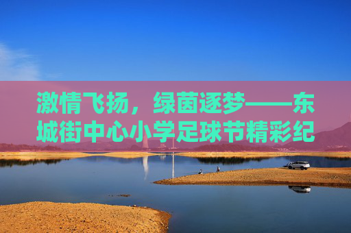 激情飞扬,绿茵逐梦——东城街中心小学足球节精彩纪实