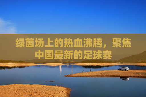 绿茵场上的热血沸腾,聚焦中国最新的足球赛