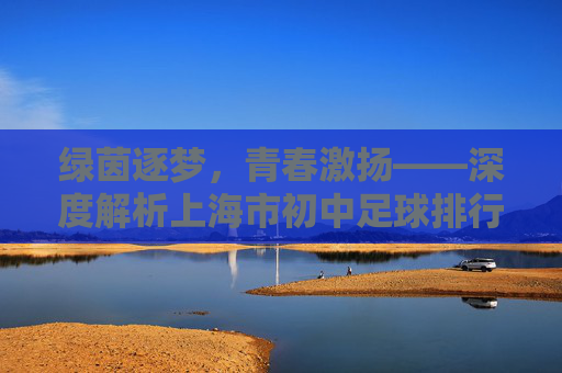 绿茵逐梦,青春激扬——深度解析上海市初中足球排行榜