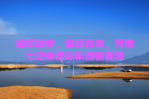 绿茵逐梦,激扬青春,河南七运会足球队燃情赛场