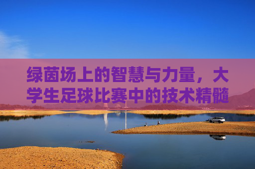 绿茵场上的智慧与力量,大学生足球比赛中的技术精髓与实战应用