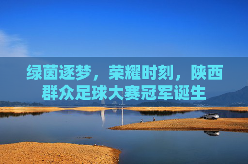 绿茵逐梦,荣耀时刻,陕西群众足球大赛冠军诞生