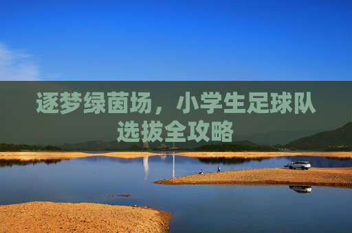 逐梦绿茵场,小学生足球队选拔全攻略