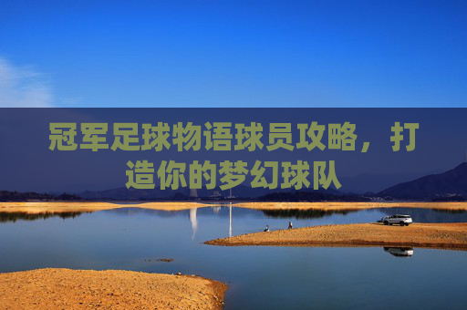 冠军足球物语球员攻略,打造你的梦幻球队