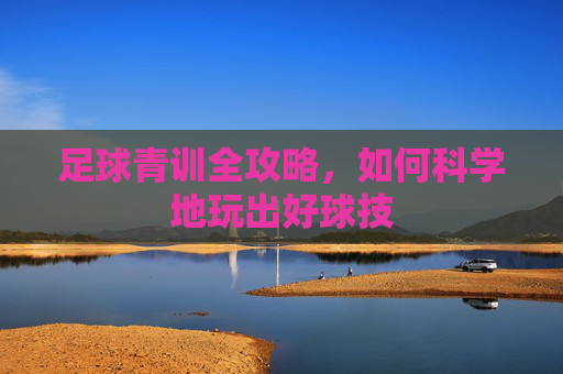 足球青训全攻略,如何科学地玩出好球技