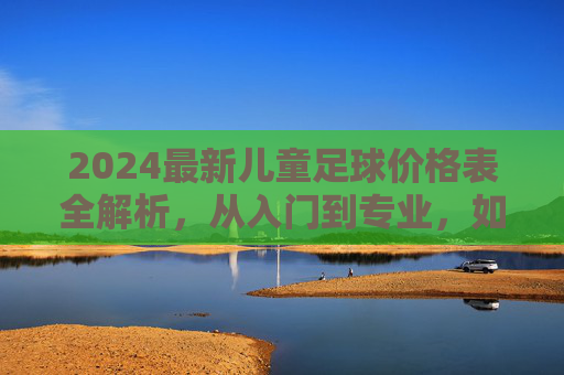 2024最新儿童足球价格表全解析,从入门到专业,如何为孩子选对装备?
