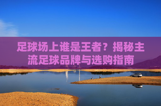 足球场上谁是王者?揭秘主流足球品牌与选购指南