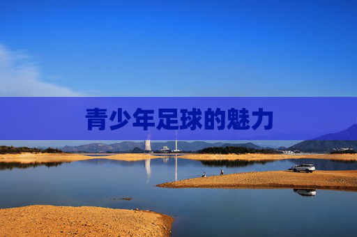 青少年足球的魅力