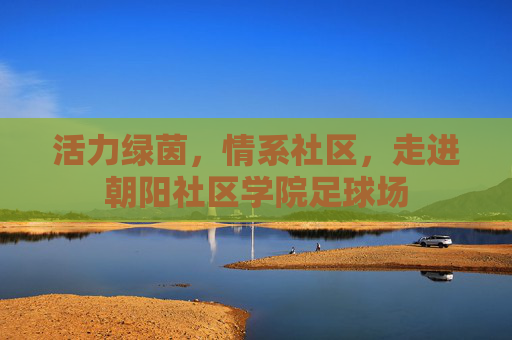 活力绿茵,情系社区,走进朝阳社区学院足球场