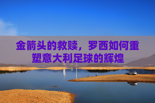 金箭头的救赎,罗西如何重塑意大利足球的辉煌