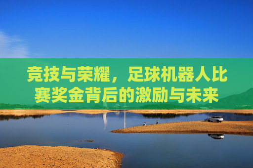 竞技与荣耀,足球机器人比赛奖金背后的激励与未来