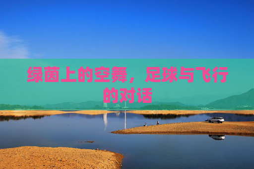 绿茵上的空舞,足球与飞行的对话