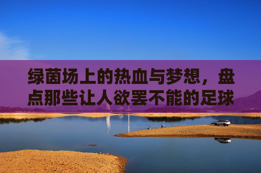绿茵场上的热血与梦想,盘点那些让人欲罢不能的足球电视剧
