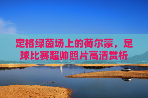 定格绿茵场上的荷尔蒙,足球比赛超帅照片高清赏析